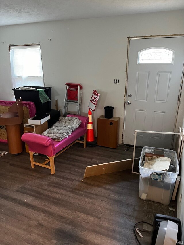 interior space with dark wood-type flooring