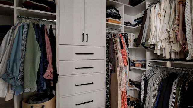 view of spacious closet