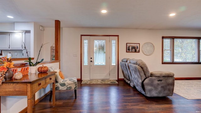 foyer featuring plenty of natural light and dark hardwood / wood-style floors