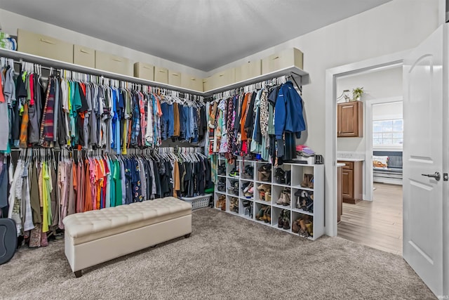 spacious closet with light carpet