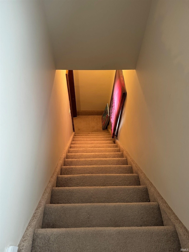 stairway featuring carpet