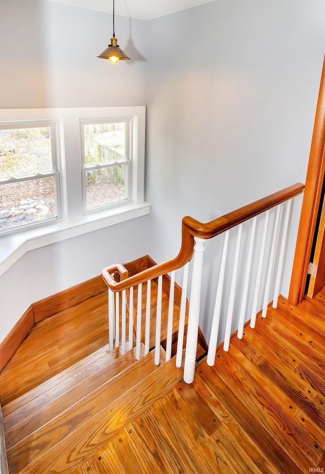 stairway featuring hardwood / wood-style flooring