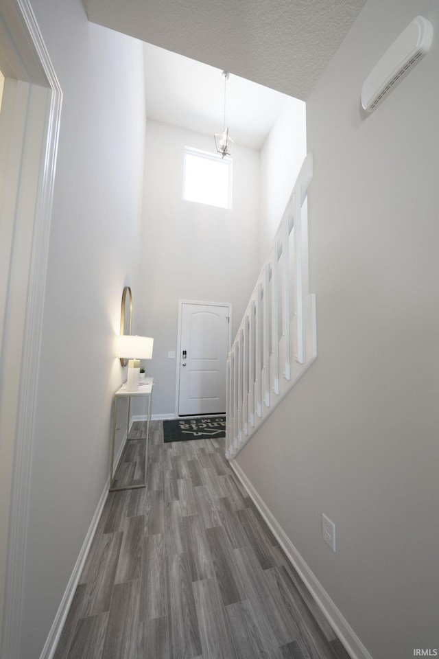 foyer entrance featuring a high ceiling and dark hardwood / wood-style floors