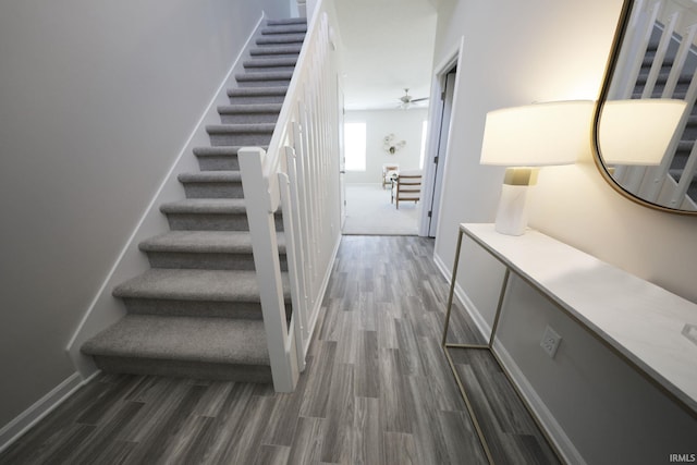 staircase featuring ceiling fan and hardwood / wood-style flooring