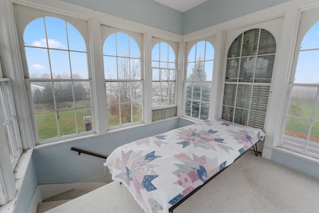 carpeted bedroom with multiple windows