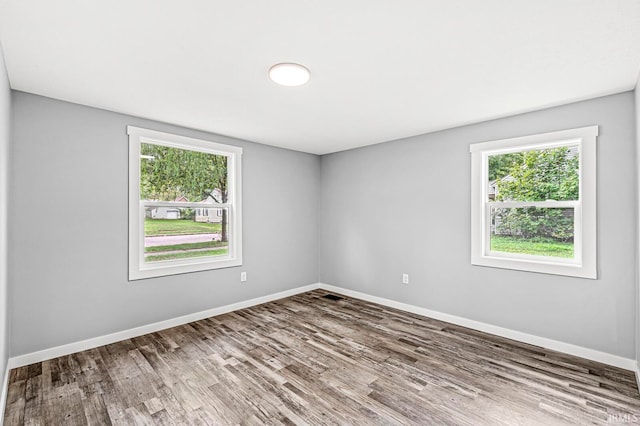 unfurnished room featuring a healthy amount of sunlight and wood-type flooring