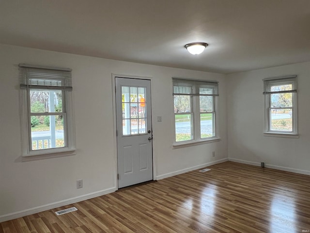 entrance foyer with wood-type flooring