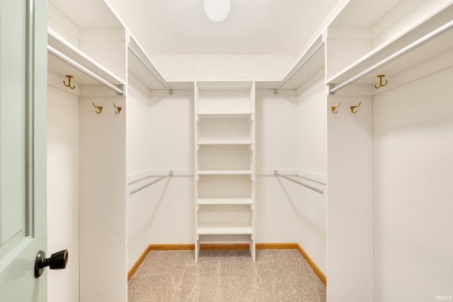 spacious closet with light carpet