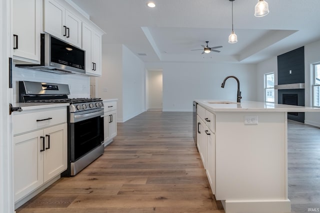 1173 Olympiada Knl, Fort Wayne, IN 46845 - kitchen with appliances with stainless steel finishes, a tray ceiling, a sink, open floor plan, and a ceiling fan