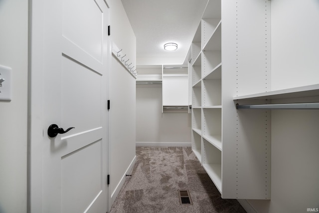 walk in closet featuring carpet flooring