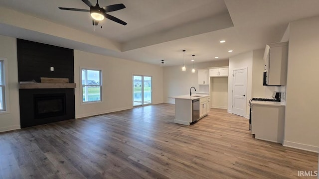 kitchen with sink, stainless steel dishwasher, a tray ceiling, decorative light fixtures, and white cabinetry