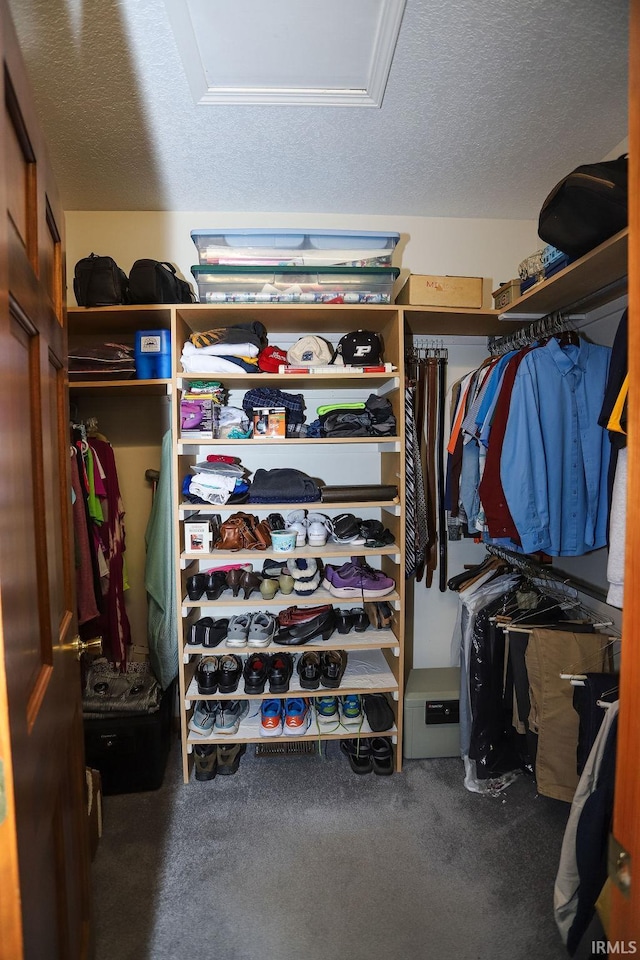 spacious closet with carpet floors