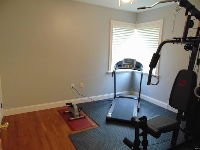 workout area featuring wood-type flooring