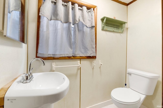 bathroom featuring toilet, ornamental molding, and sink