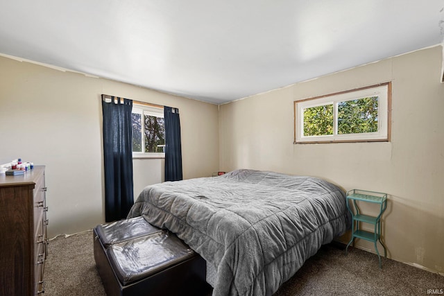 bedroom featuring carpet and multiple windows