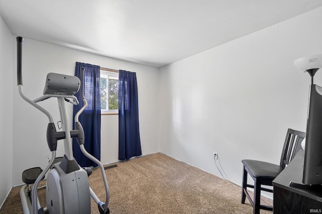 exercise room featuring carpet flooring