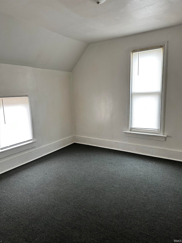 additional living space with carpet flooring, a textured ceiling, and vaulted ceiling