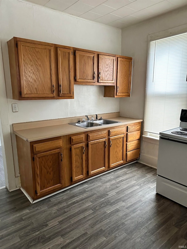 kitchen featuring electric range, sink, and dark hardwood / wood-style floors