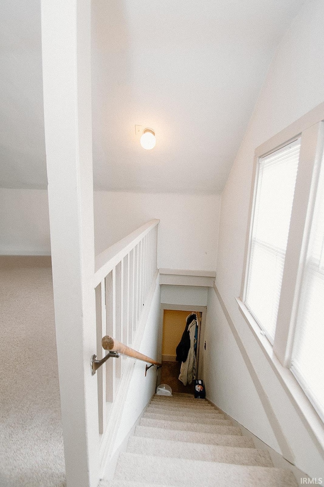 stairs with carpet flooring, plenty of natural light, and lofted ceiling