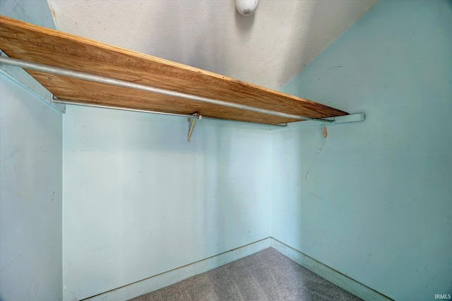 spacious closet with carpet floors