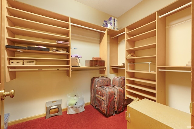 spacious closet with carpet