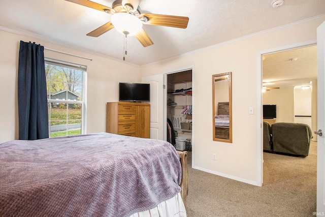 carpeted bedroom with ceiling fan, a closet, and crown molding