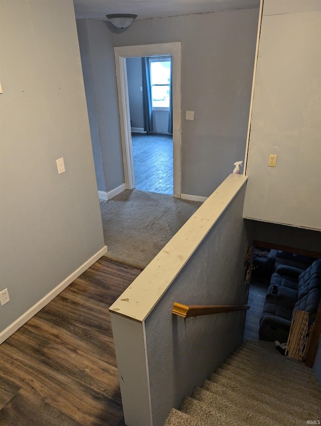 staircase with hardwood / wood-style flooring