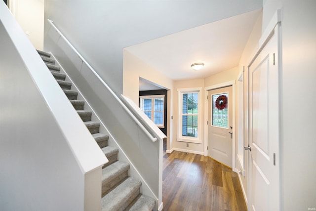 entrance foyer featuring dark wood-type flooring