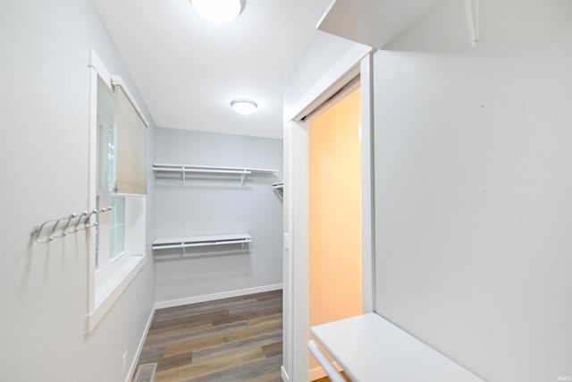 spacious closet with dark wood-type flooring