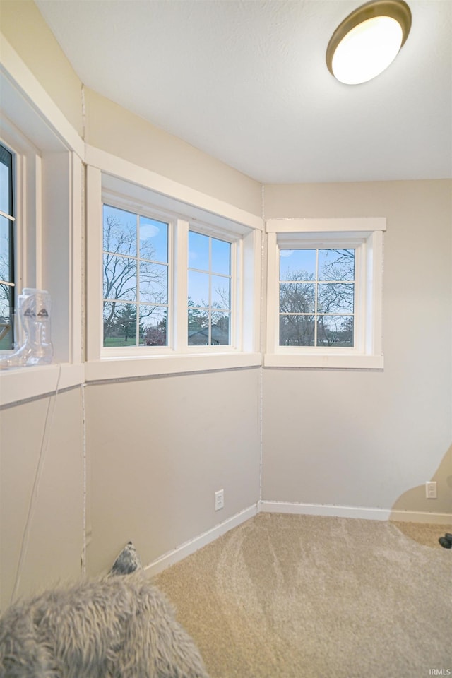 unfurnished bedroom with carpet floors