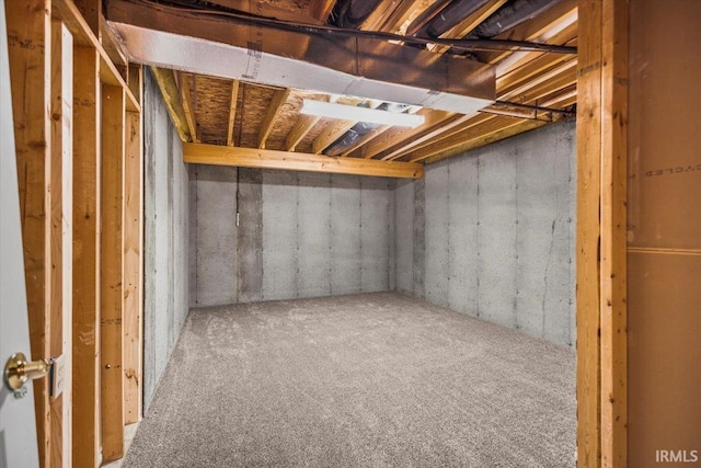 basement featuring carpet