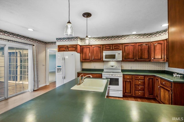 kitchen with tasteful backsplash, white appliances, sink, pendant lighting, and hardwood / wood-style floors