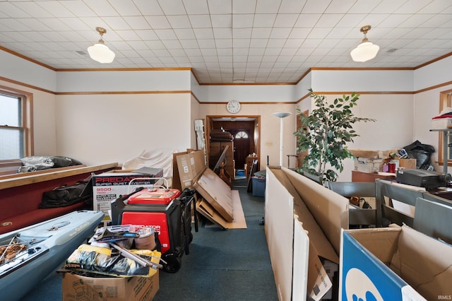 miscellaneous room featuring carpet and ornamental molding