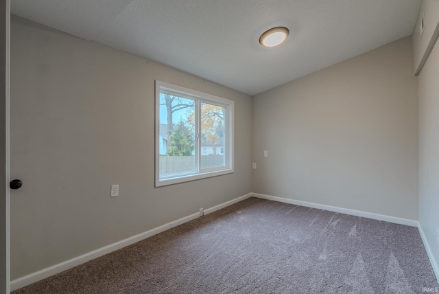 spare room featuring carpet floors