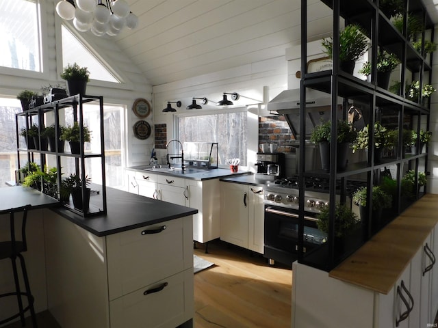 kitchen with white cabinets, high end range, light hardwood / wood-style flooring, and sink