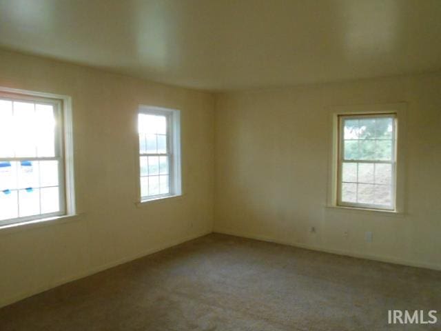 spare room with light carpet and a healthy amount of sunlight