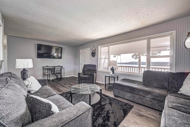 living room with hardwood / wood-style floors and a textured ceiling