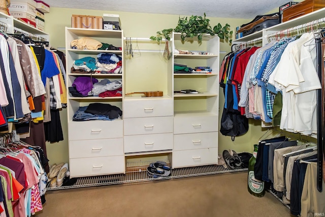 walk in closet with carpet flooring