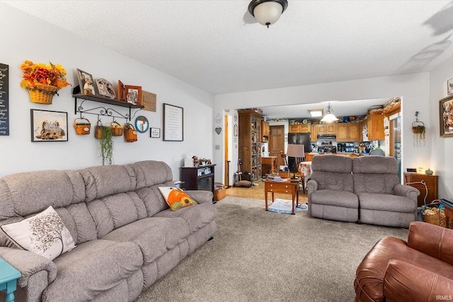 living room with light colored carpet and a textured ceiling