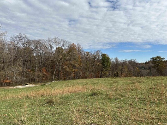 3536 Ridge Rd, Williams, IN 47470 - view of wooded area