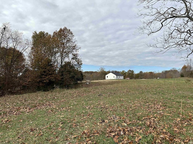 3536 Ridge Rd, Williams, IN 47470 - view of yard