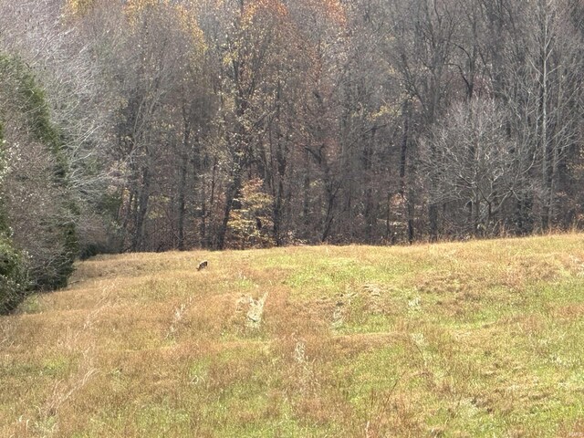 3536 Ridge Rd, Williams, IN 47470 - view of tree filled area