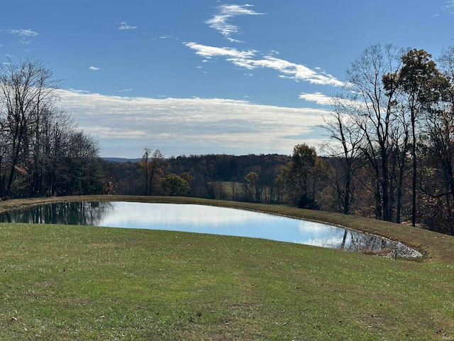 view of water feature