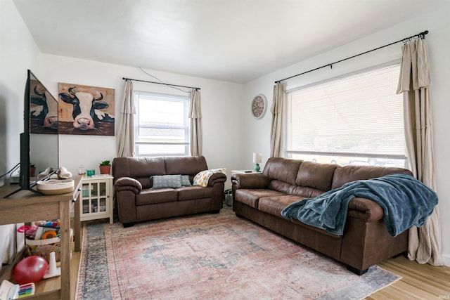 living room featuring hardwood / wood-style flooring