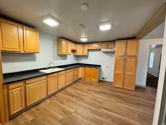 kitchen featuring light hardwood / wood-style flooring and sink