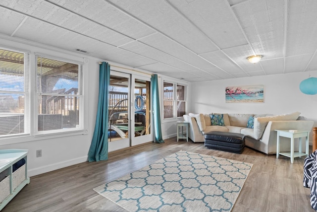 living room with wood-type flooring