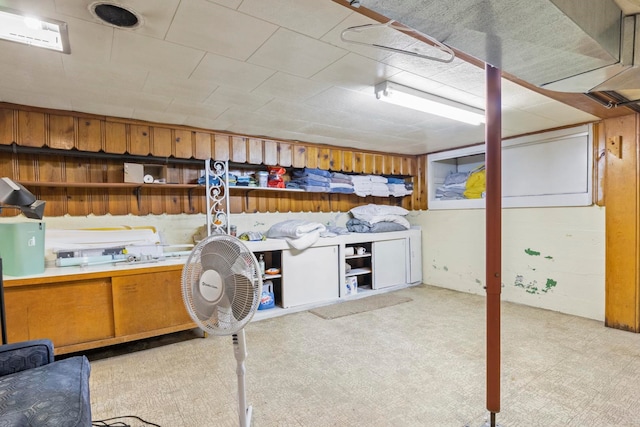 basement with light colored carpet