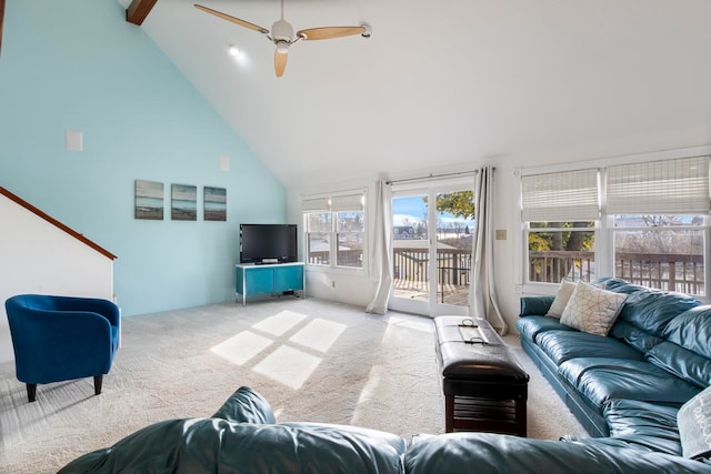 carpeted living room with ceiling fan and high vaulted ceiling