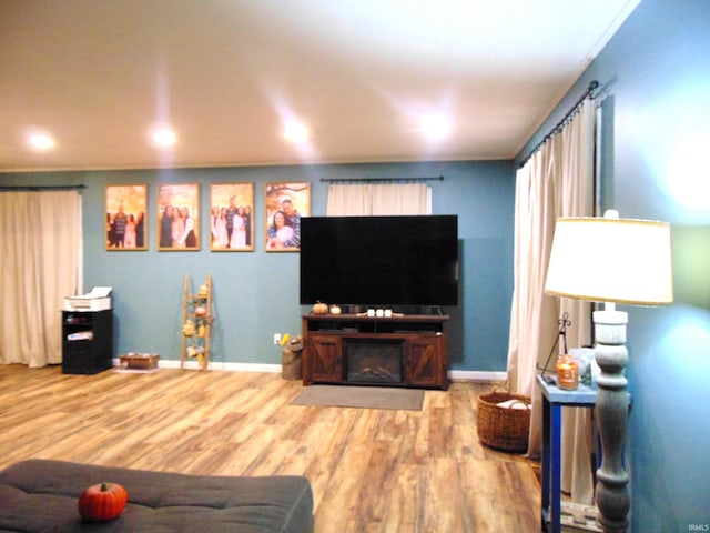 living room featuring wood-type flooring and a fireplace