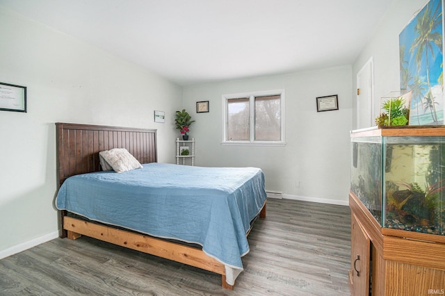 bedroom featuring wood-type flooring